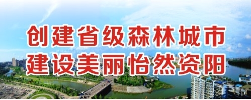 两屌插一逼视频创建省级森林城市 建设美丽怡然资阳